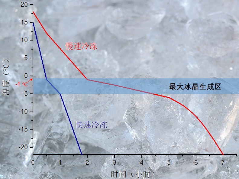 Visualization of ice crystal formation differences based on freezing speed