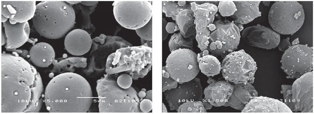 SEM Images of Spray-Dried Particles