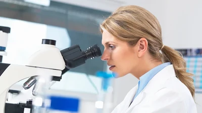 Developability Assessment