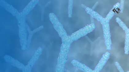 Concerned about mRNA -LNP Integrity during International Shipping?